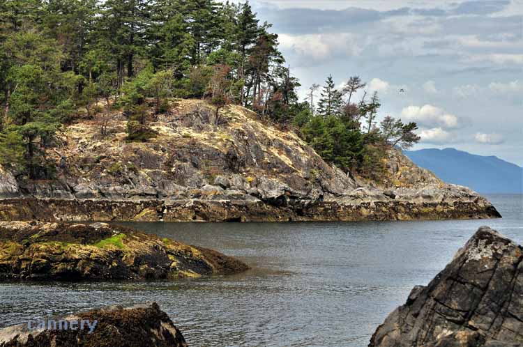 islands and water