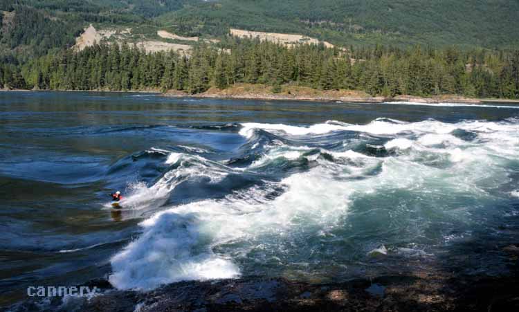 water swells
