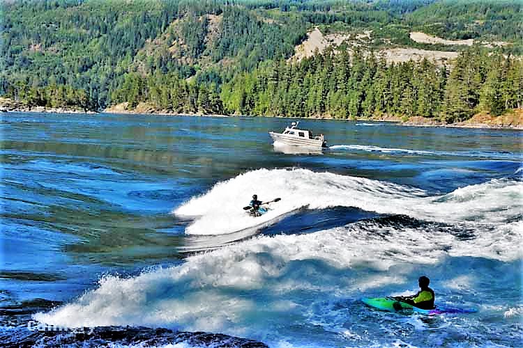 kayaker on waves