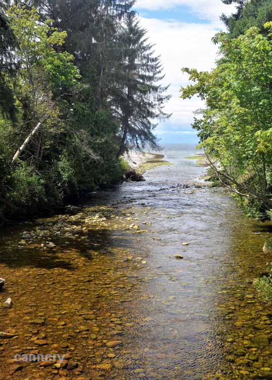 stream