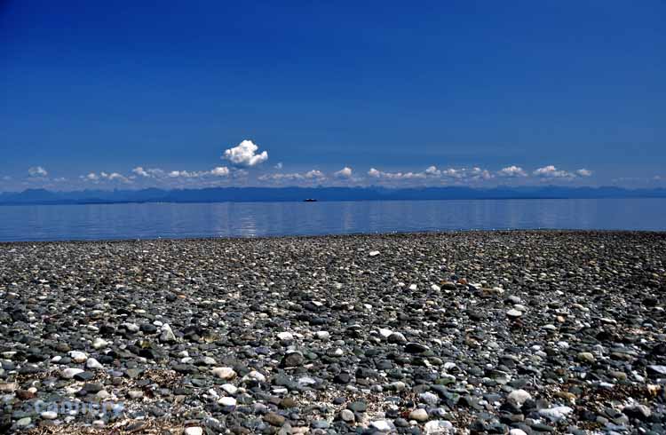 beach scene