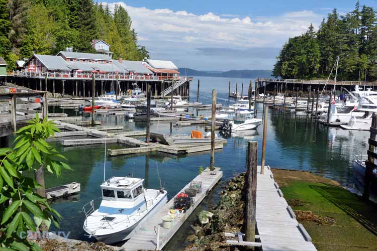 bay scene