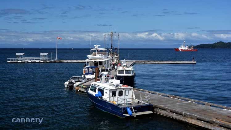 harbor scene