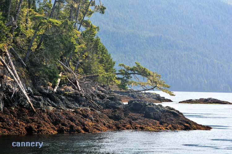 islands scenic