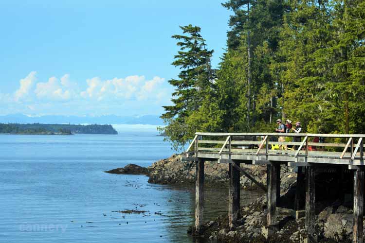 bay scene