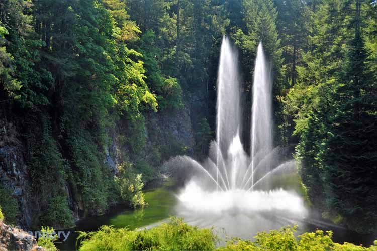 fountain