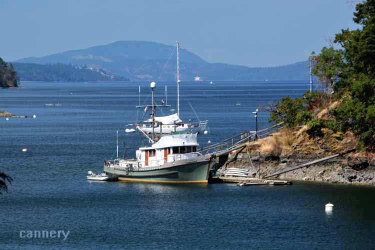 water cove