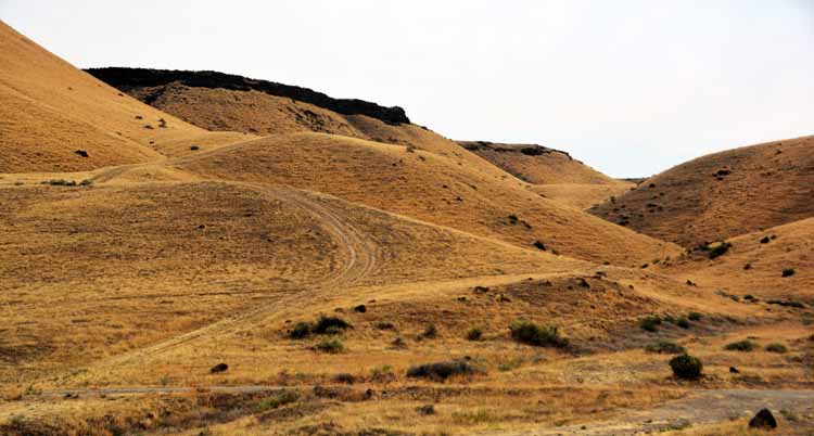 brown hillside