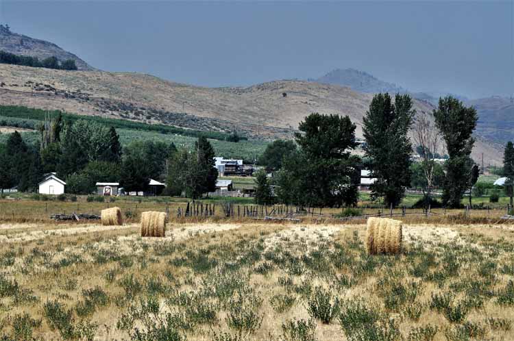 farm and field