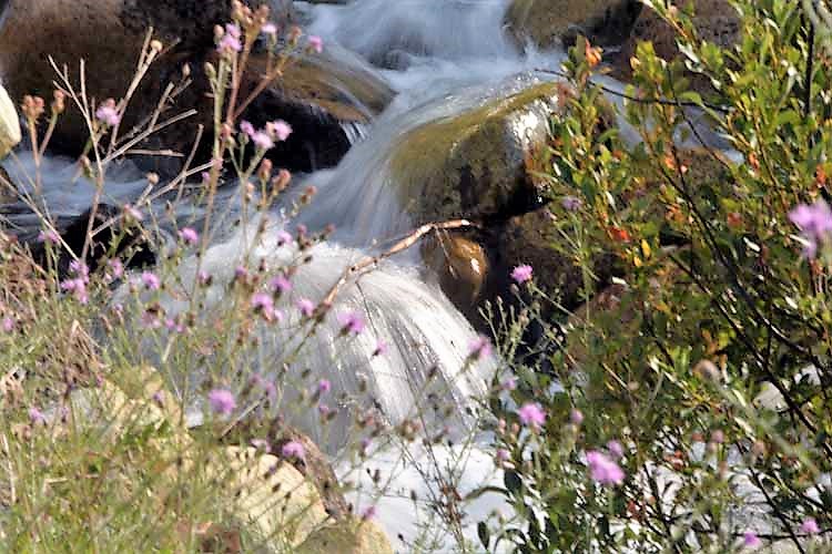 waterfall in stream