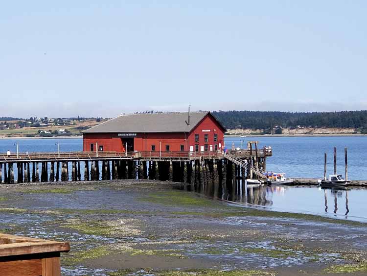 pier and building