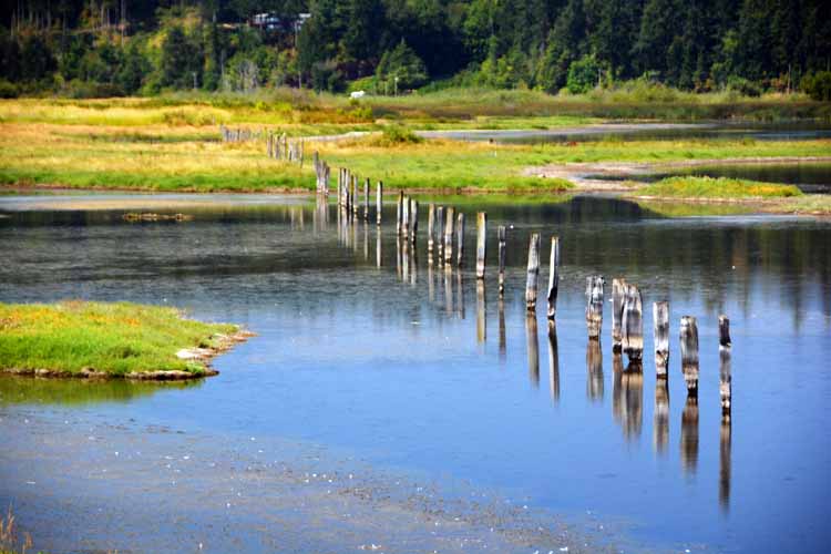 on Whidbey
