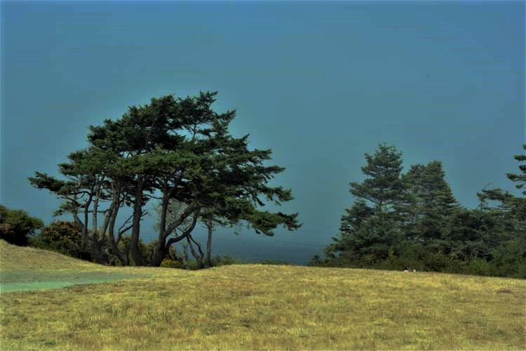fort casey grounds