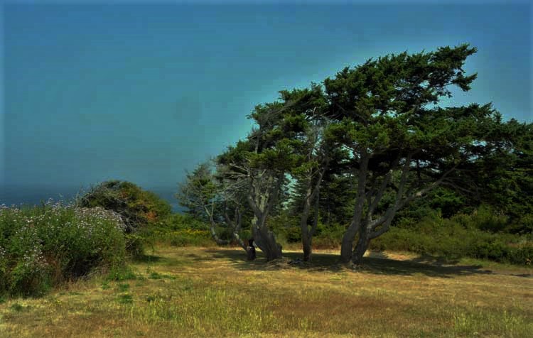 fort casey grounds