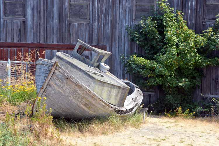 abandoned cannery grounds