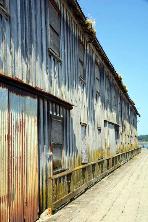 abandoned cannery grounds