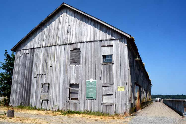 abandoned cannery grounds