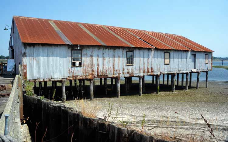 abandoned cannery grounds