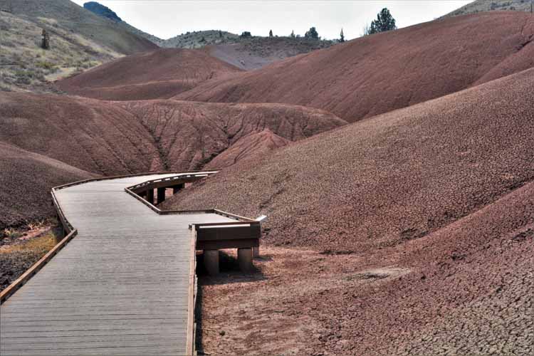 fossil beds of many colors