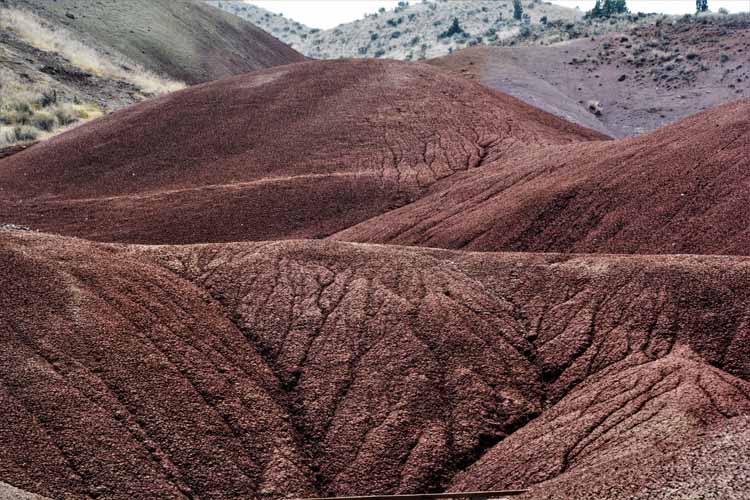 fossil beds of many colors