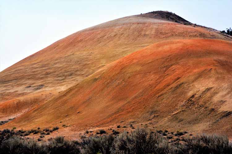 fossil beds of many colors