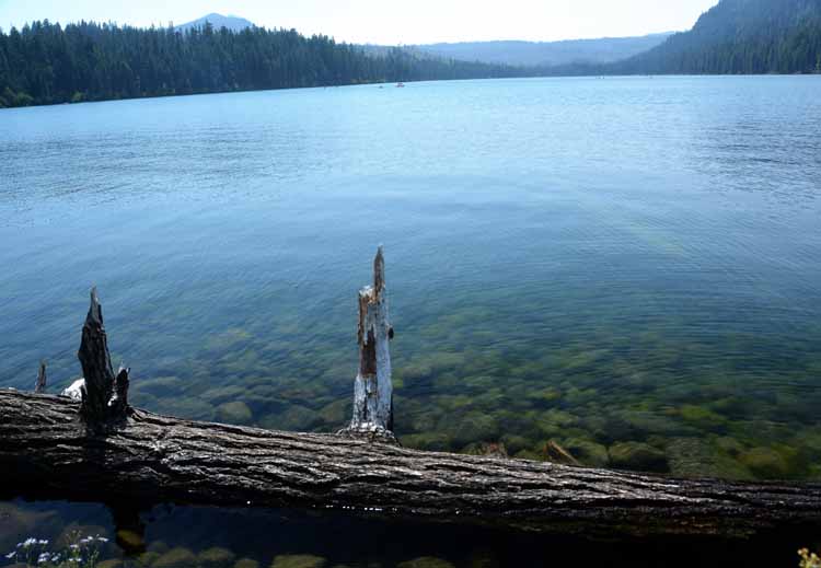 lake scene