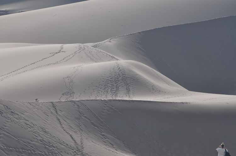 great sand dunes np