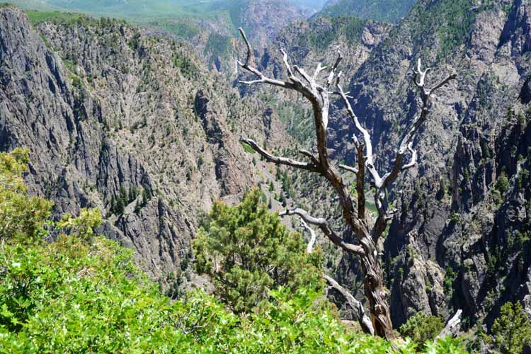 black canyon of the gunnison