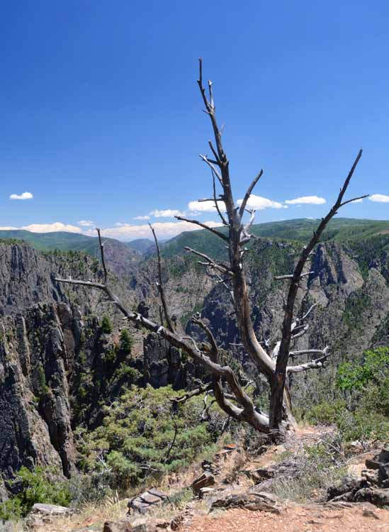 black canyon of the gunnison