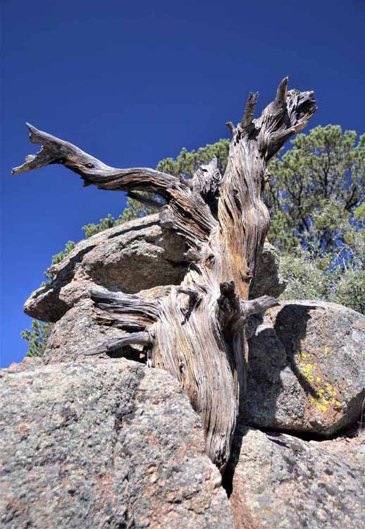 black canyon of the gunnison