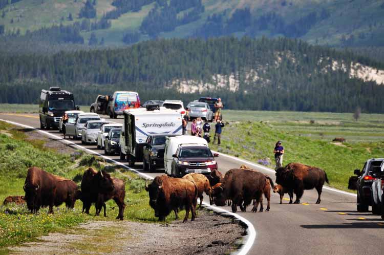 Daniel is a tiny don't-blink town of less than 200 residents situated on Wyoming's Highway 189. It was established by Thomas Daniel in 1900 when he was named its first postmaster. Today, a strong sense of community keeps the town alive. Ranching is its biggest industry. 