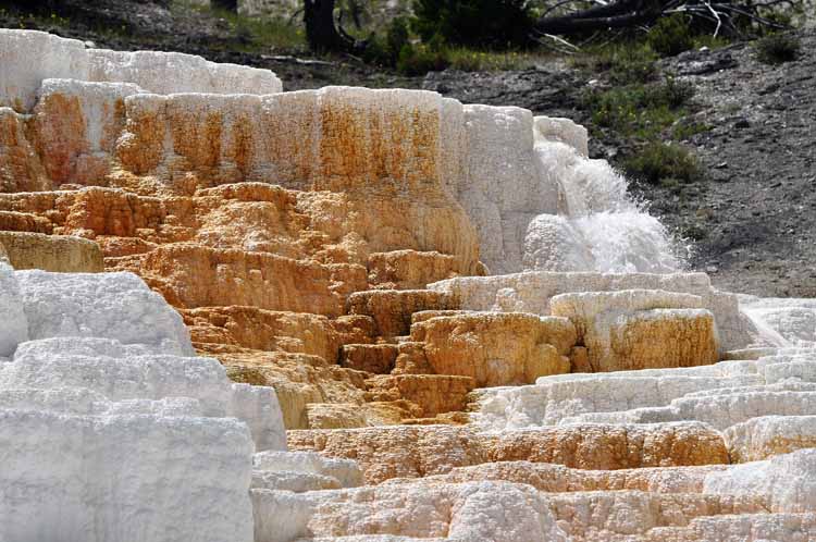 yellowstone mammoth hot springs