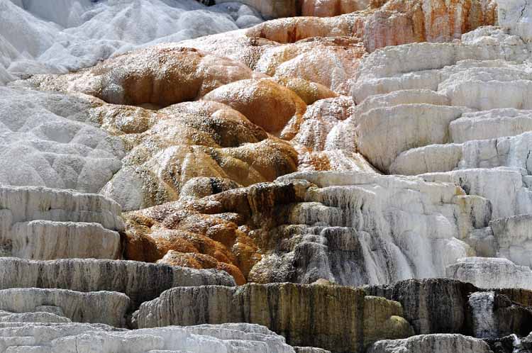 yellowstone mammoth hot springs