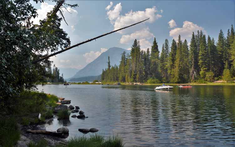 lake scene