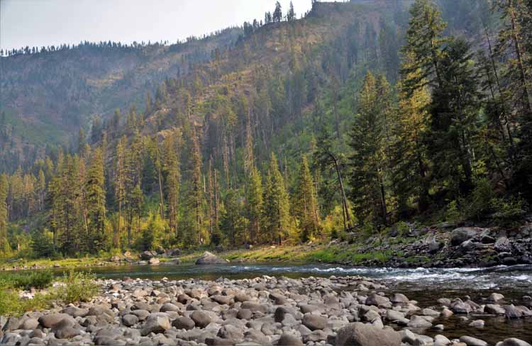 river scene