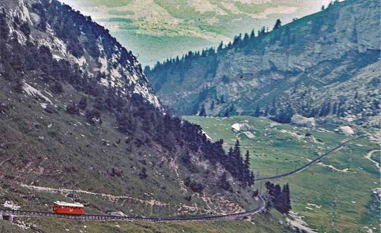 cog train