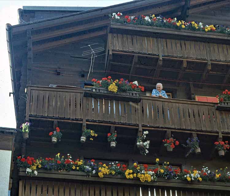 flower-bedecked house