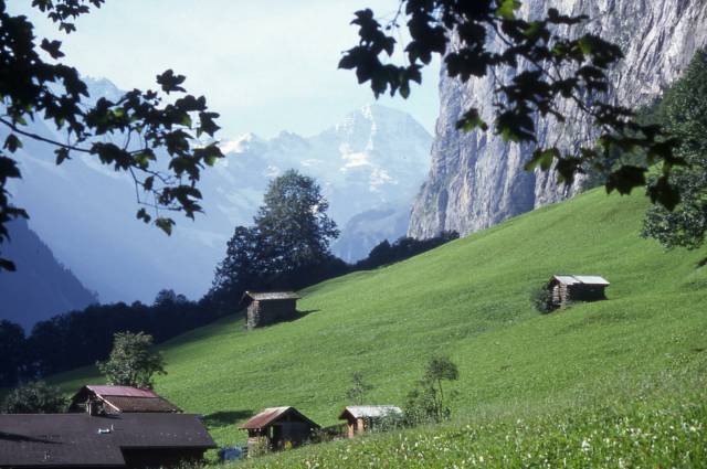 fieldsheds dot the countryside