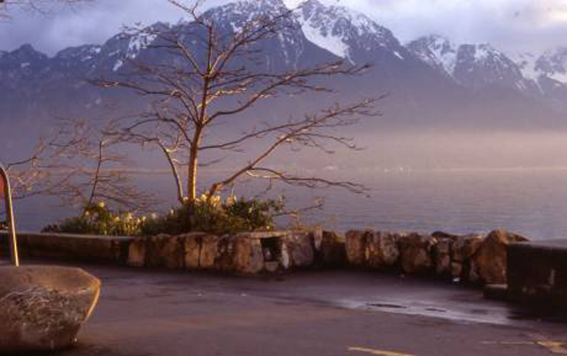 floral at lake geneva, montreux