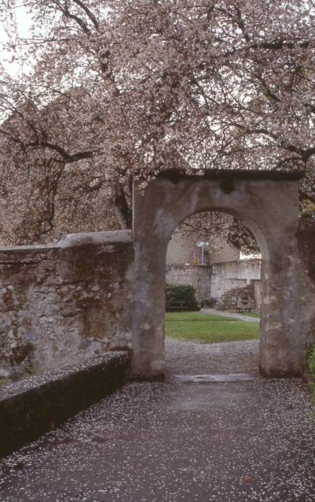 The castle in spring