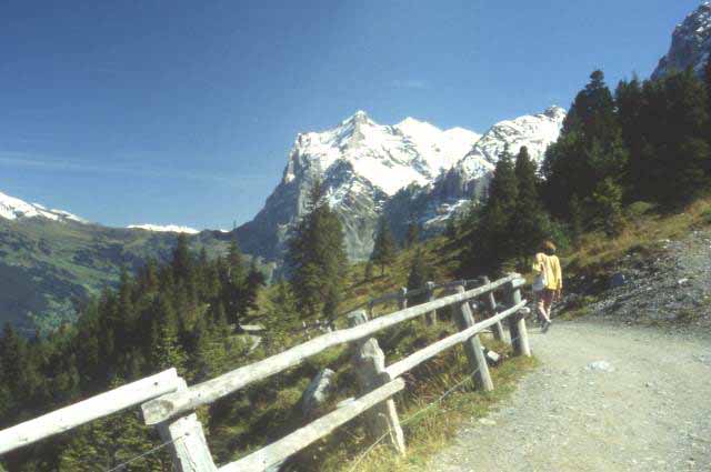 a section of the walking path