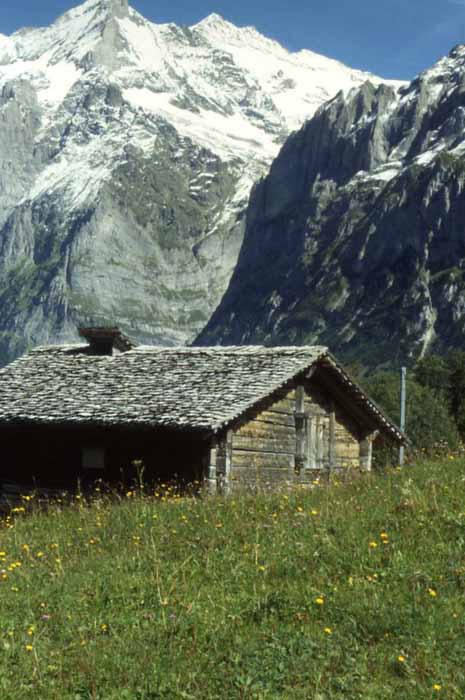 the path in front of the Jungfrau tri-peaks