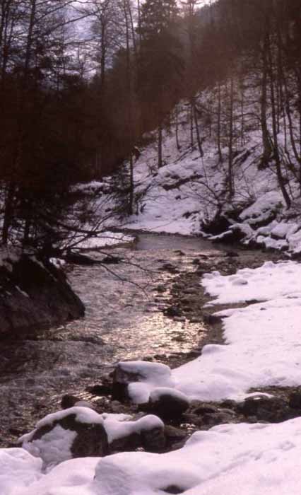 an icy stream in verbier