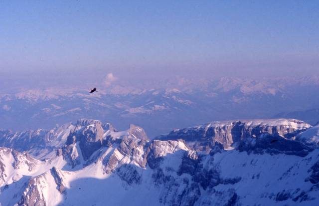 Mt. Santis in the Appenzell region 
