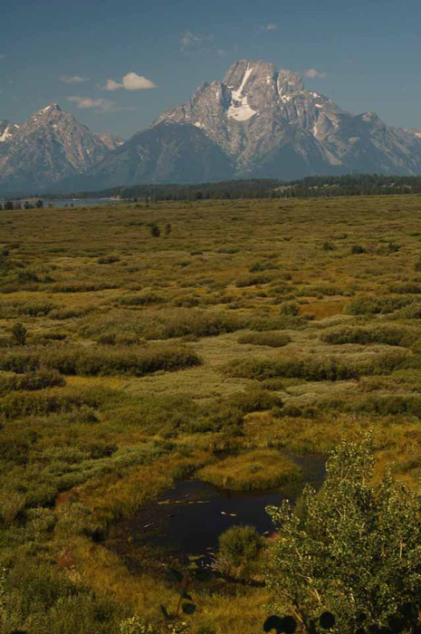 the tetons from jackson lake lodge