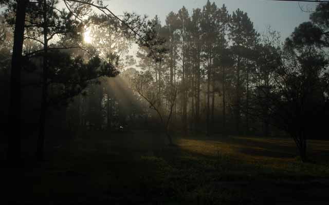 foggy morning in dickinson