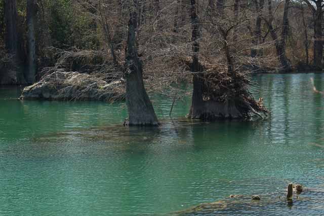 Perhaps the Frio River