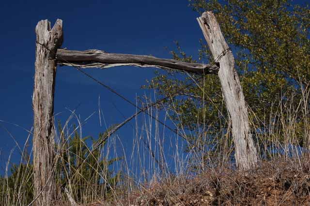 Near the Pedernales Falls, south of Fredericksburg