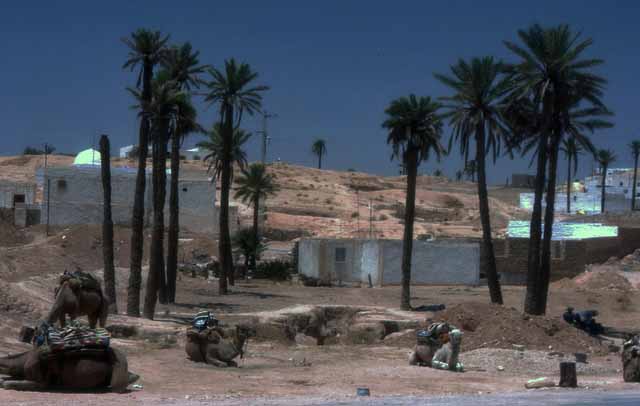 Troglodytes in the town of Matmata