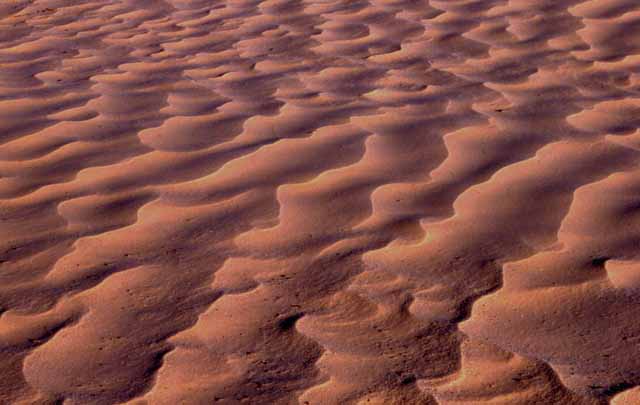 the Sahara Desert